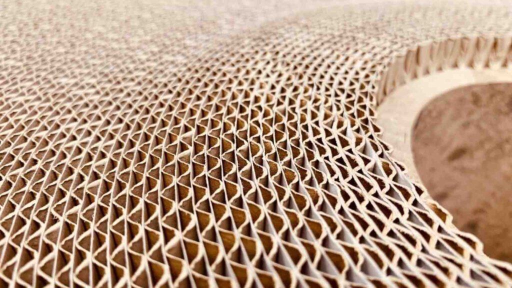 cardboard rings