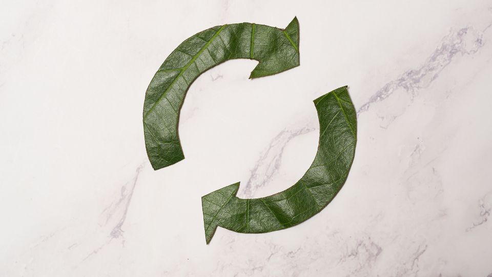 a photo representing the circular economy