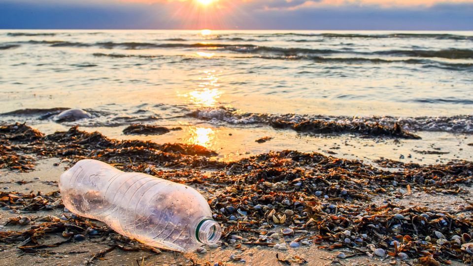 Empty water bottle left at the beach.