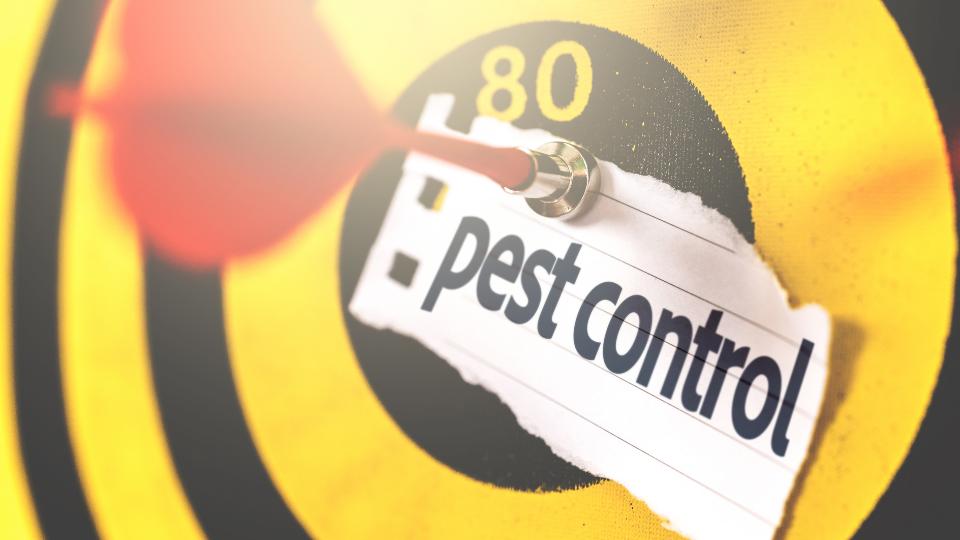 A dart board and a piece of paper with pest control on. A dart hit the bullseye so it hit the pest control label.
