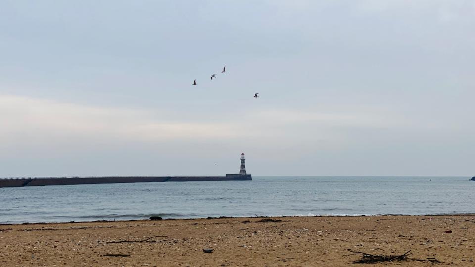 A photograph of Roker pier in Sunderland