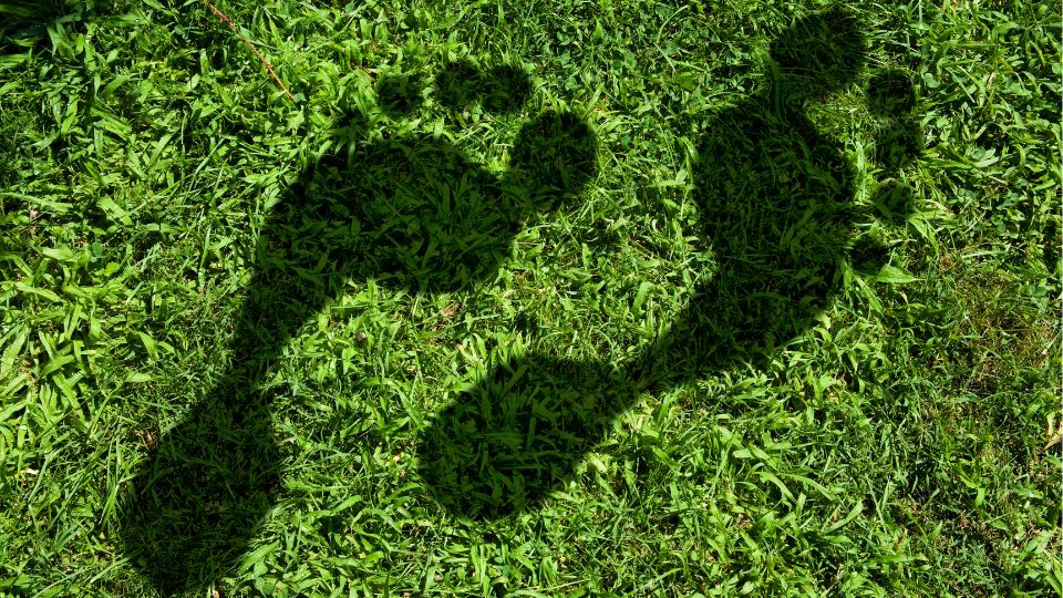 two footprints on grass.