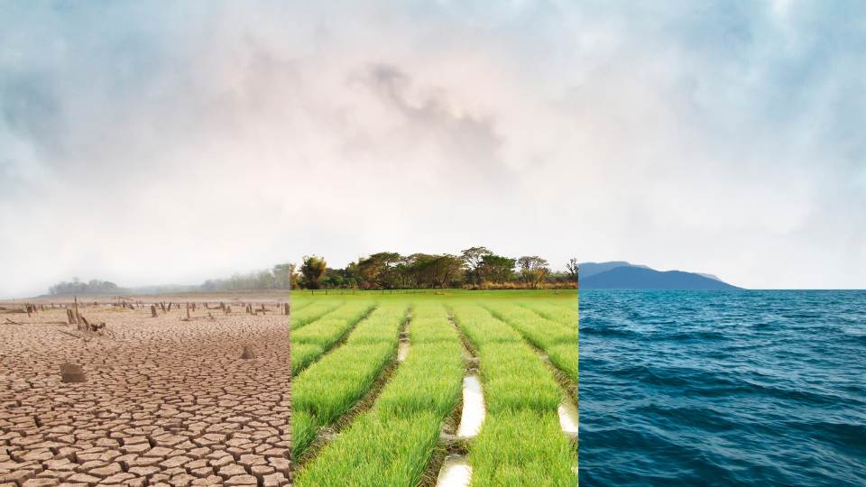 3 climates. arid. green. ocean.