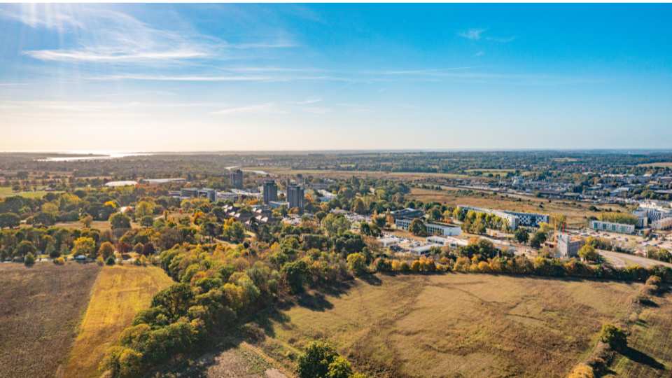 Colchester town