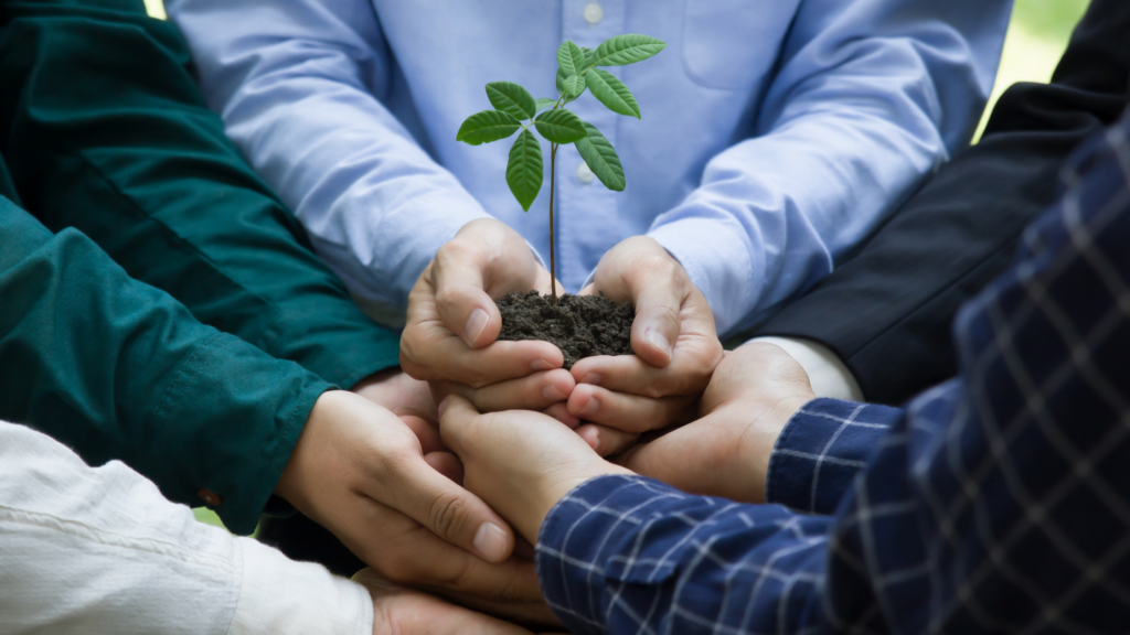 benefits of sustainability tree sustainable UK business